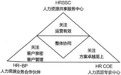 數字化時代下人力資源組織系統(tǒng)的演變與人力資源服務的轉型升級